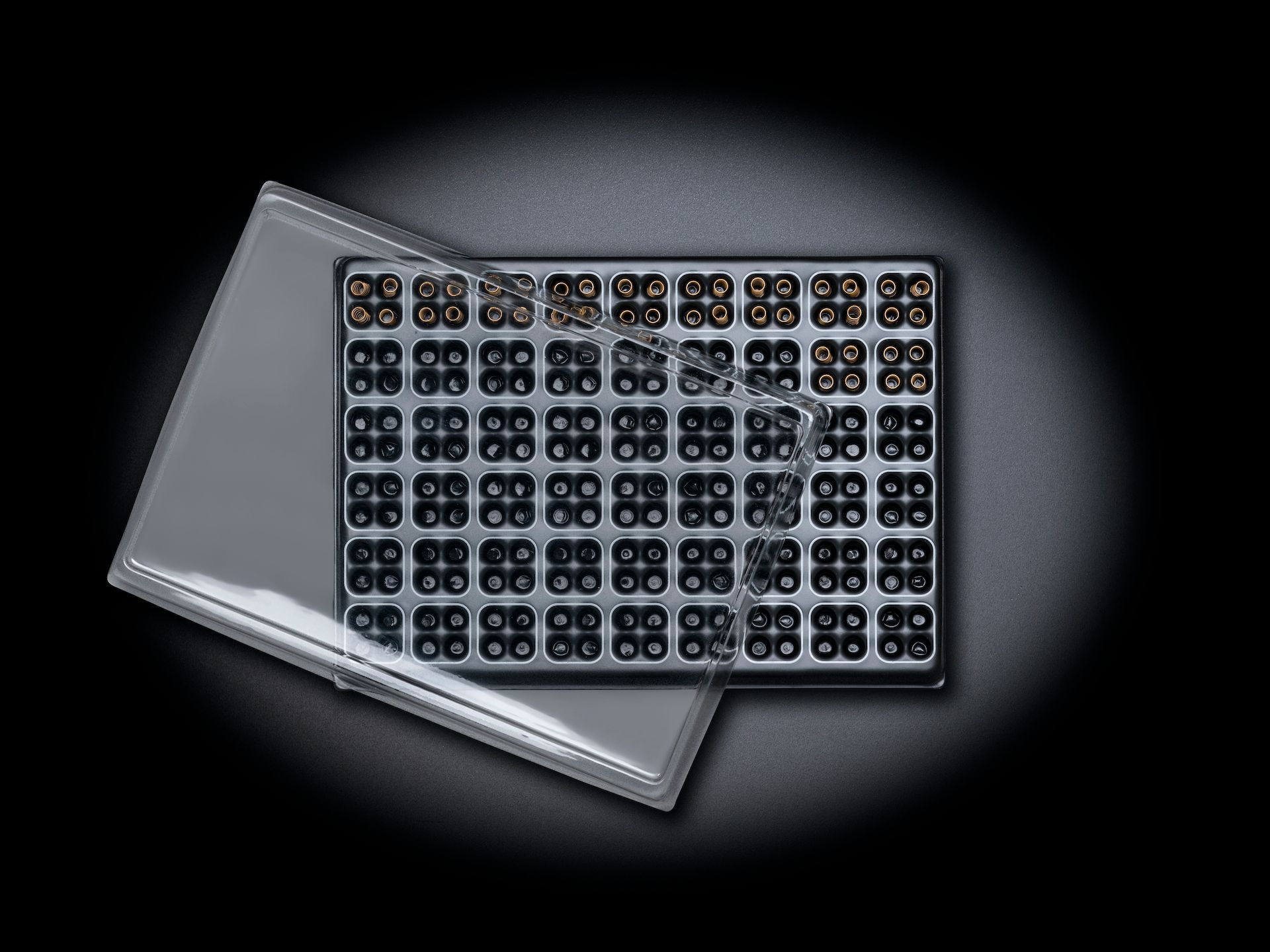 Schwarze Tiefzieheinlage mit Deckel