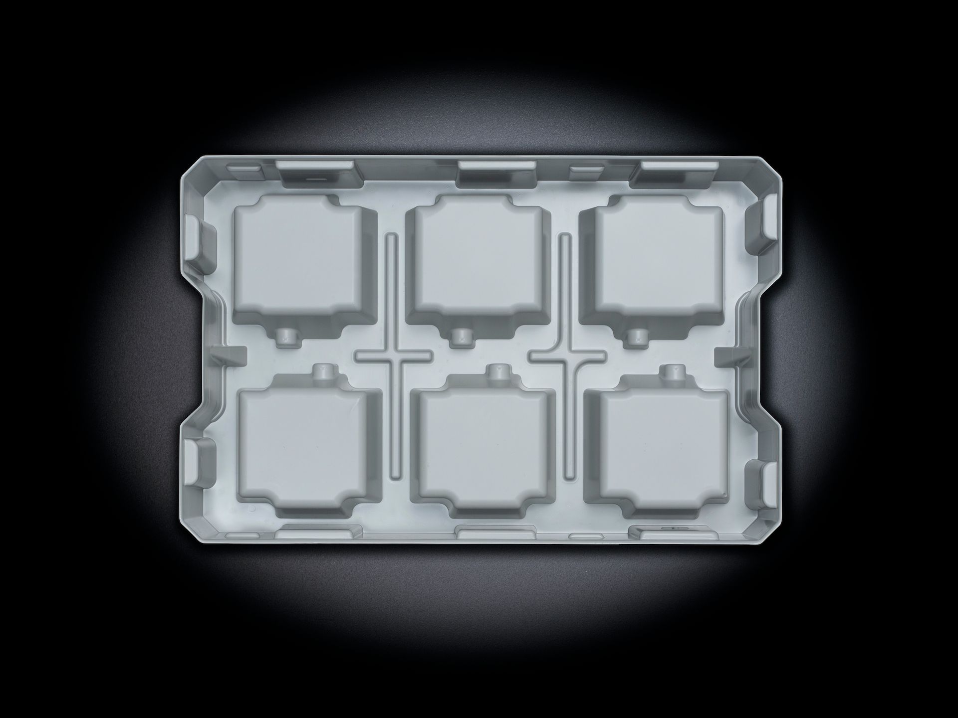 Kunststofftray Rückseite 