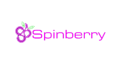 Spinberry – ігровий провайдер з найкращими слотами | GamblingShot