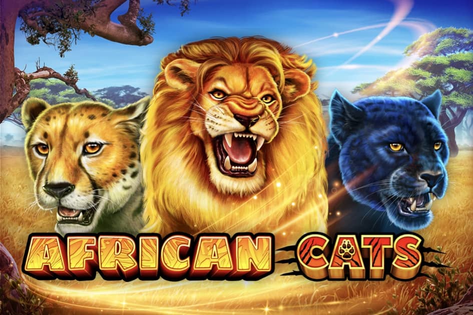 African Cats – играть бесплатно в демо | GamblingShot