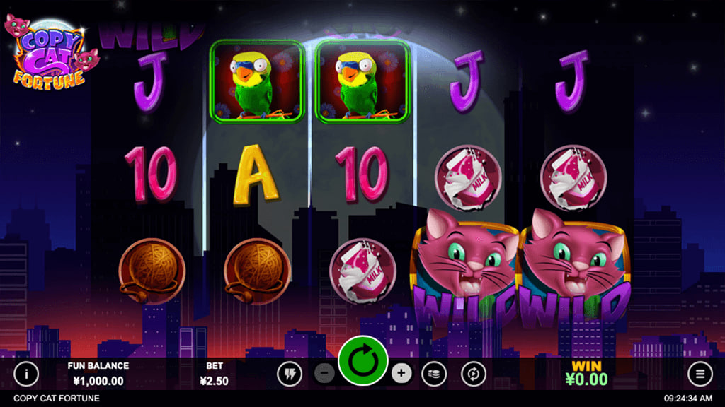 Copy Cat Fortune – играть бесплатно в демо | GamblingShot