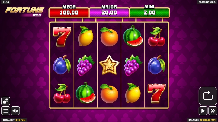 Fortune Wild – play free demo | GamblingShot