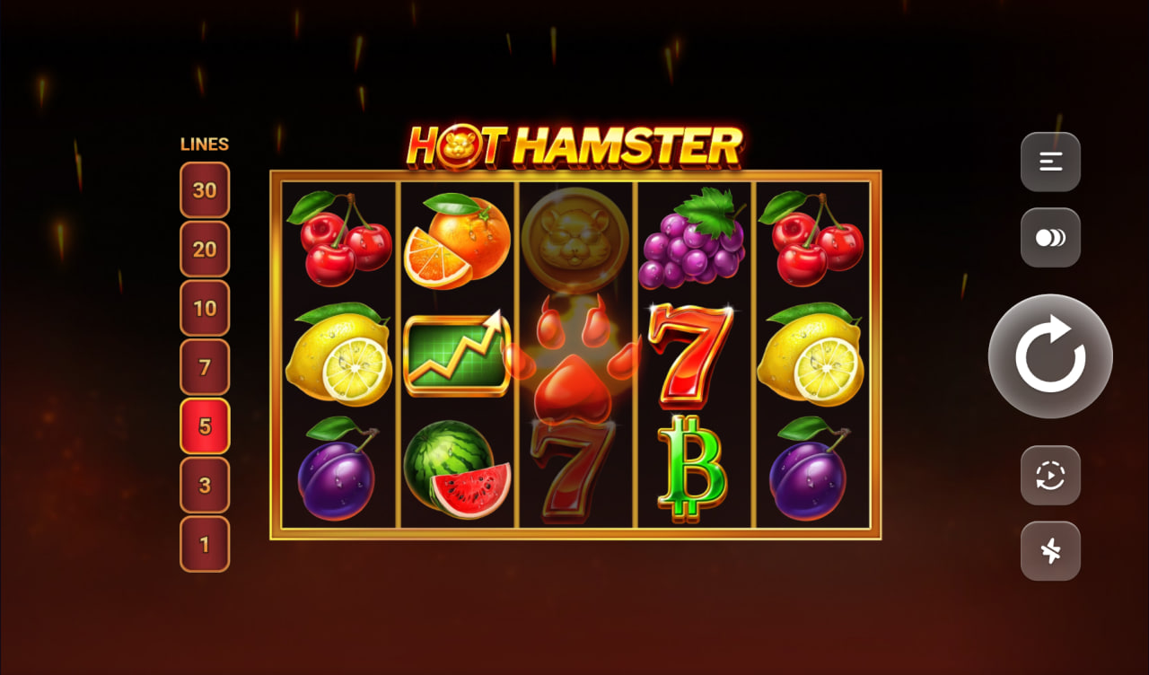 Hot Hamster Slot – грати безкоштовно в демо | GamblingShot