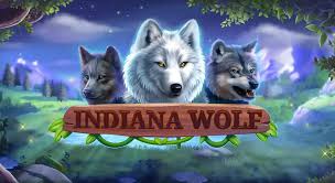 Indiana Wolf – грати безкоштовно в демо | GamblingShot