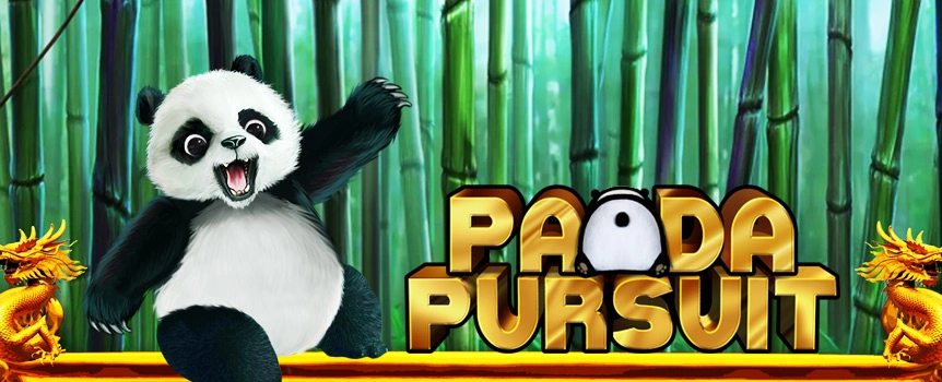 Panda Pursuit – играть бесплатно в демо | GamblingShot