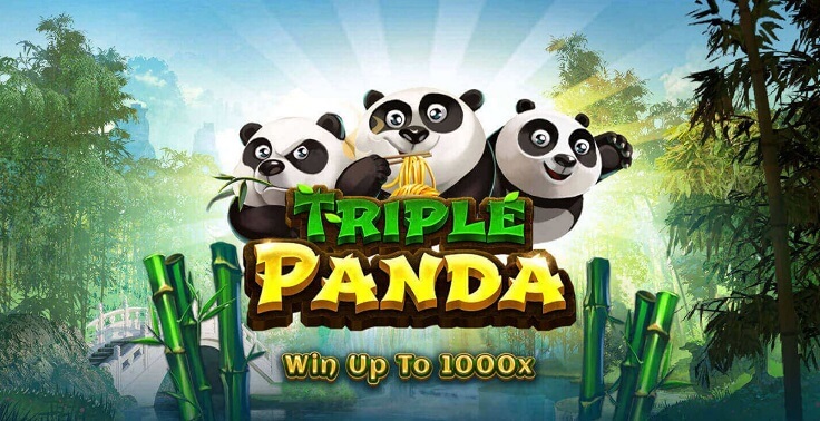 Triple Panda – play free demo | GamblingShot