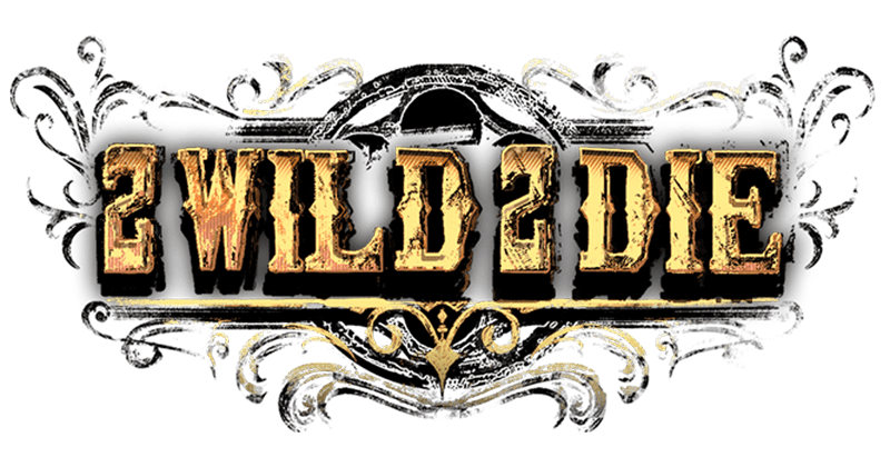 2 Wild 2 Die – slot game with high RTP | GamblingShot