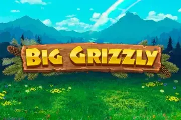 Big Grizzly – slot game with high RTP | GamblingShot