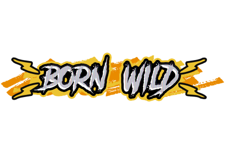 Born Wild – slot game with high RTP | GamblingShot
