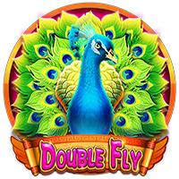 Double Fly – slot game with high RTP | GamblingShot