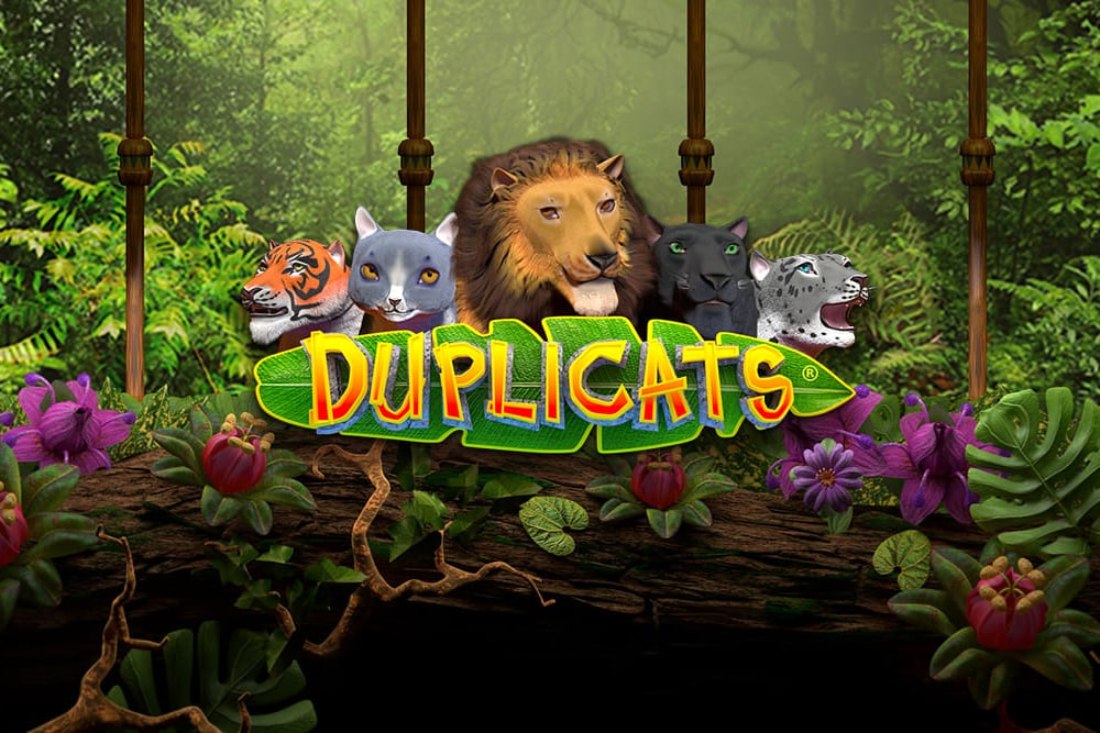 Duplicats – slot game with high RTP | GamblingShot