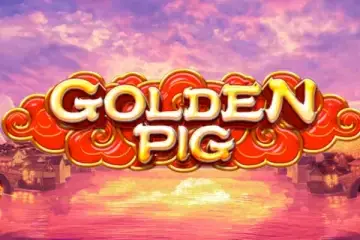 Golden Pig – slot game with high RTP | GamblingShot