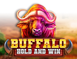 Great Buffalo Hold’n Win – slot game with high RTP | GamblingShot
