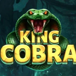 King Cobra – игровой автомат с высоким RTP | GamblingShot