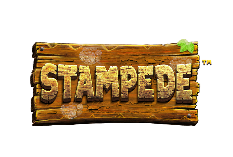 Stampede – игровой автомат с высоким RTP | GamblingShot