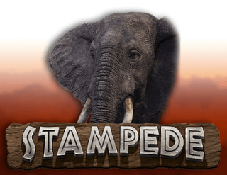 Stampede – игровой автомат с высоким RTP | GamblingShot