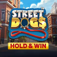 Street Dogs - Hold & Win™ – slot game with high RTP | GamblingShot