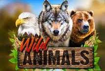 Wild Animals – ігровий автомат з високим RTP | GamblingShot