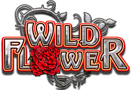 Wild Flower – ігровий автомат з високим RTP | GamblingShot