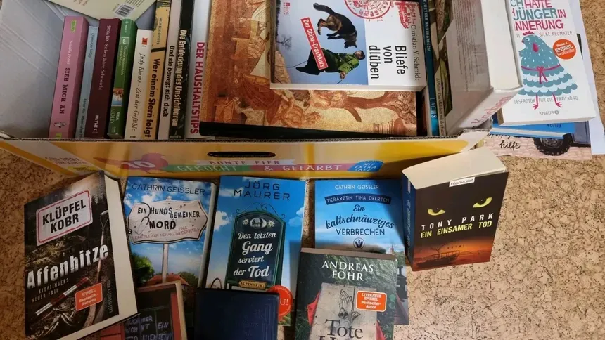 Romane, gemischte Bücherkiste