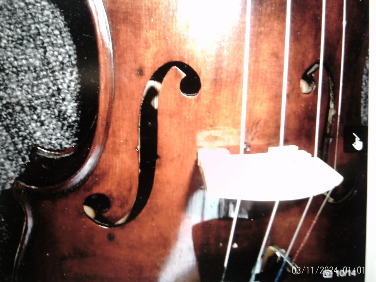 Bild 7