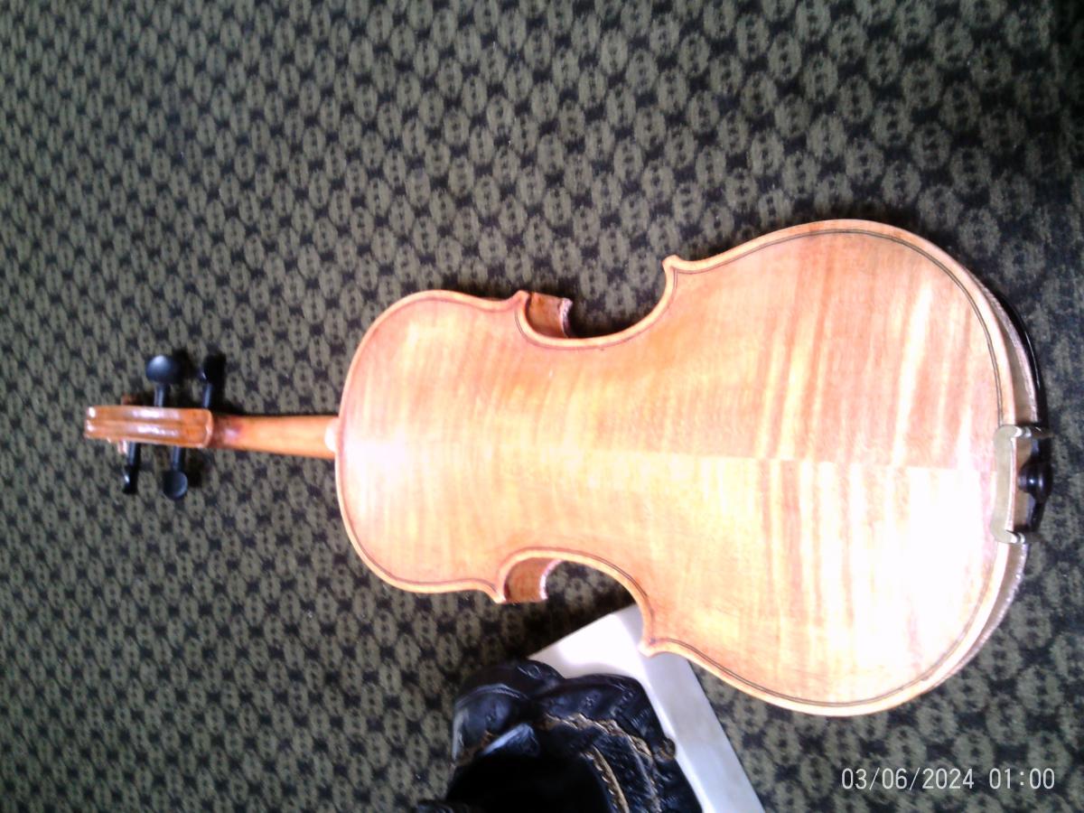 Bild 8