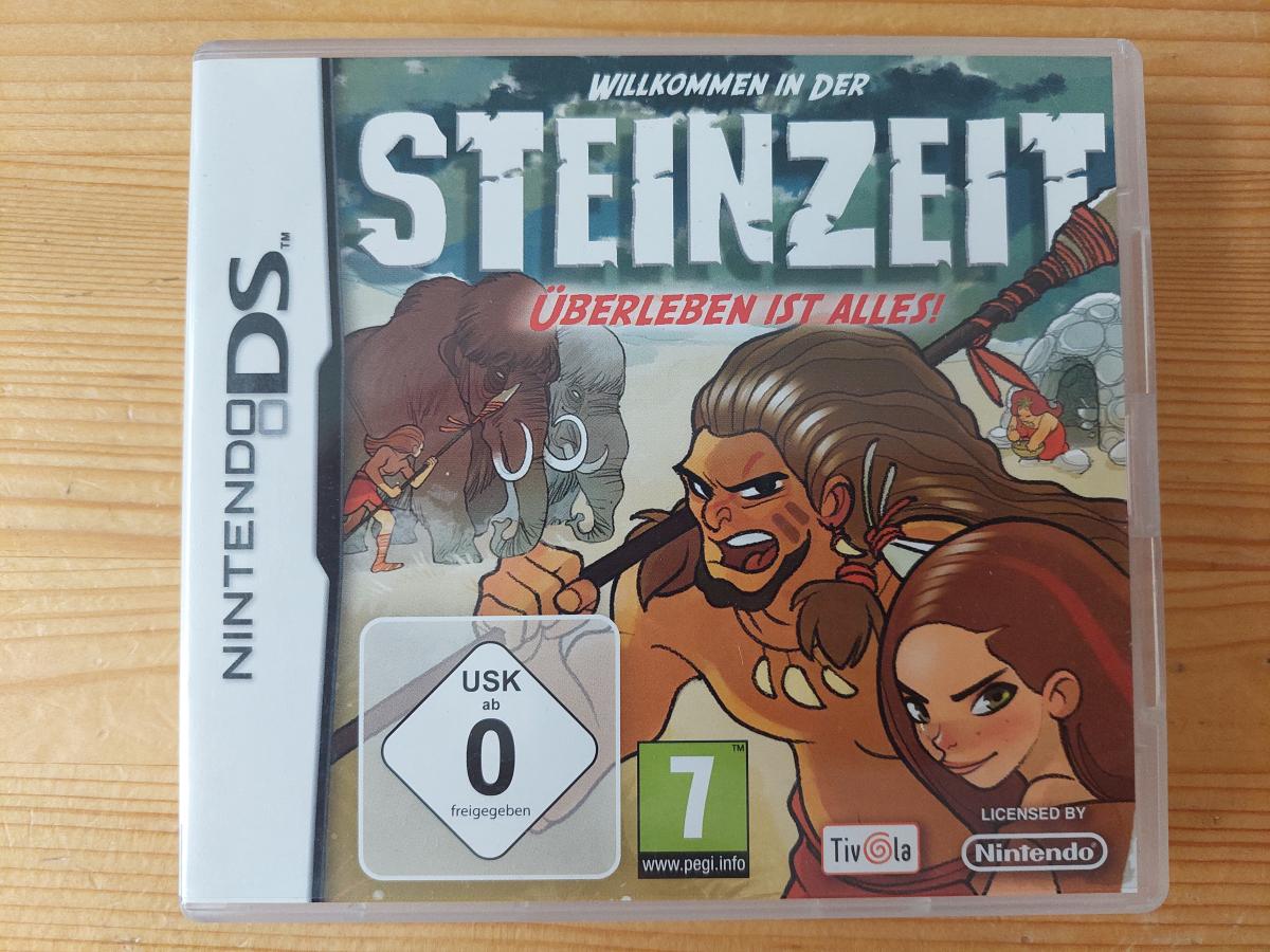 Nintendo DS-Spiel