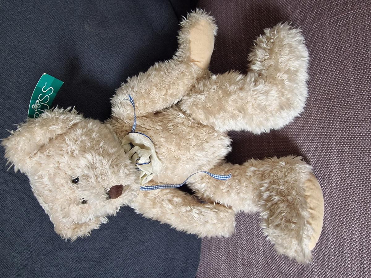 Teddy hell