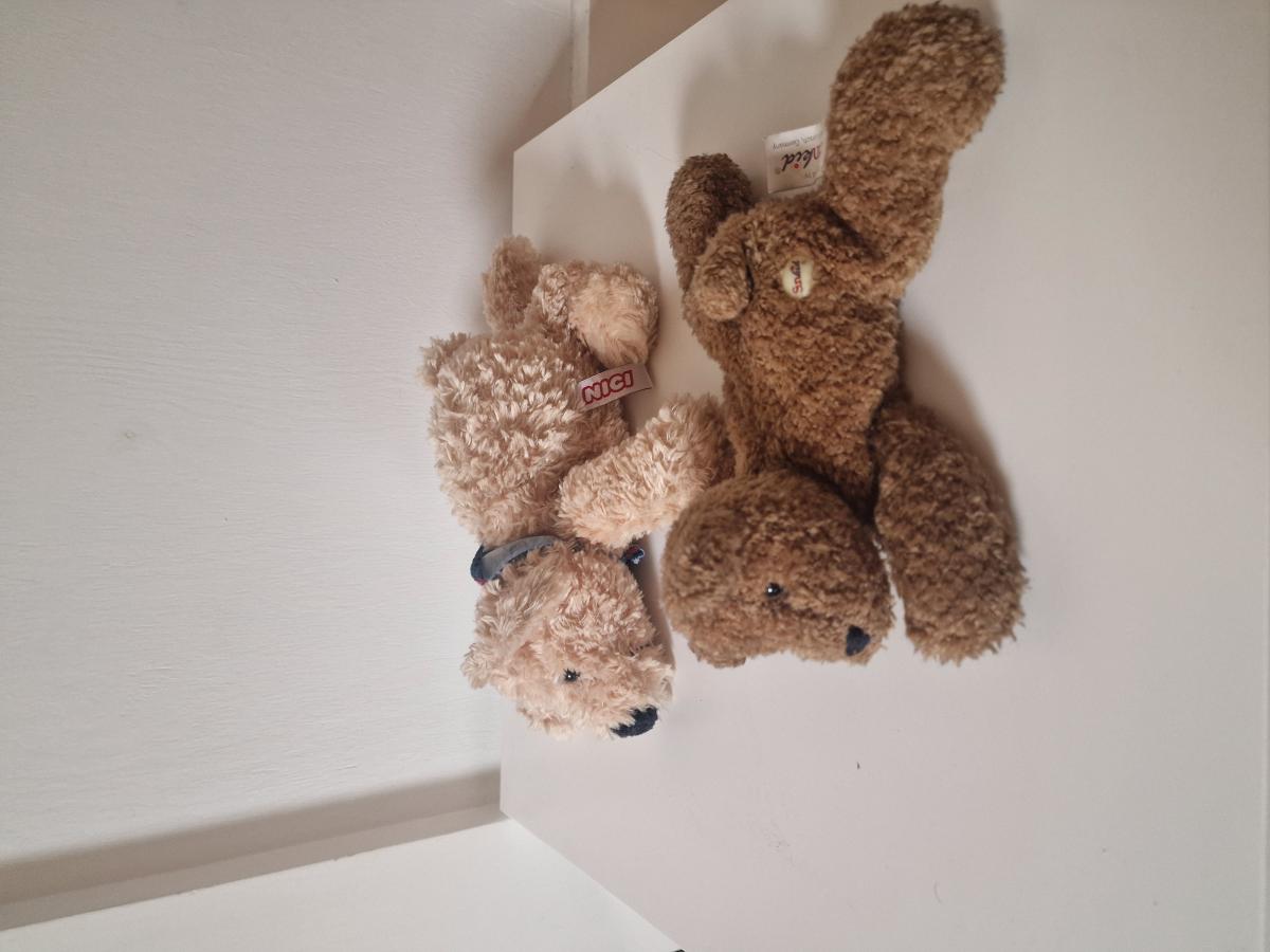 Teddy liegend