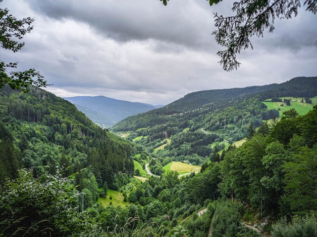 Duitsland: Zwarte Woud & Elzas