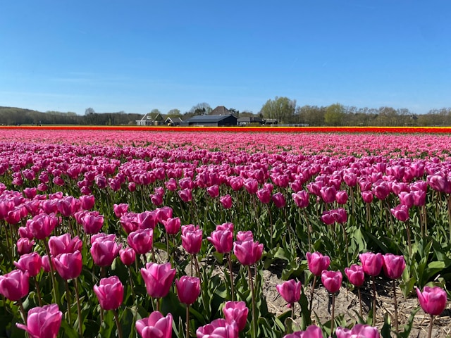 Noord-Holland Ontdekken
