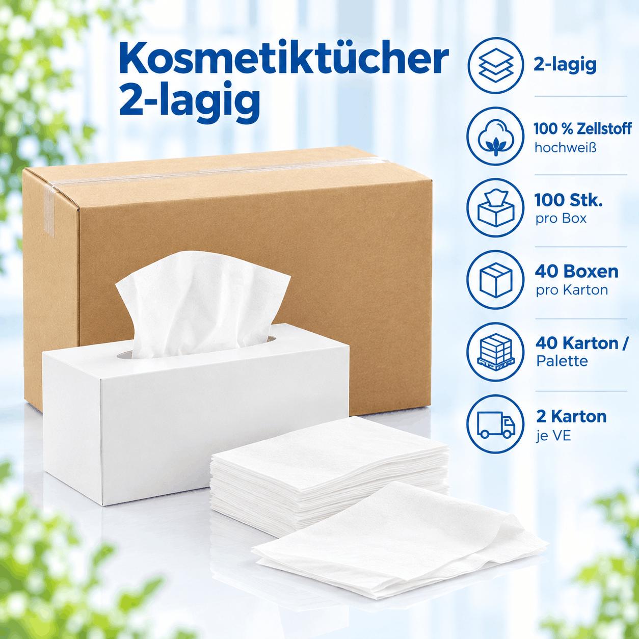 Kosmetiktücher 2 lagig 100 Stück