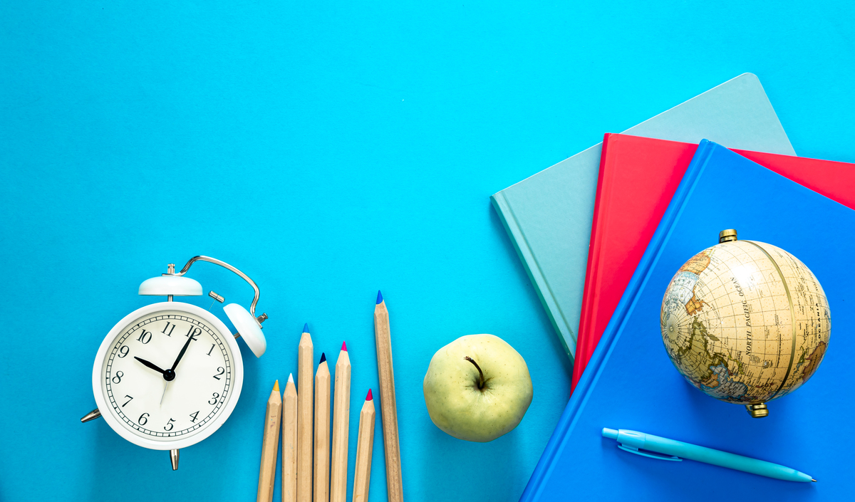 Попередній перегляд статті Види шкільних програм: НУШ, Інтелект, Росток - яку обрати?