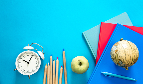 Попередній перегляд статті Види шкільних програм: НУШ, Інтелект, Росток - яку обрати?