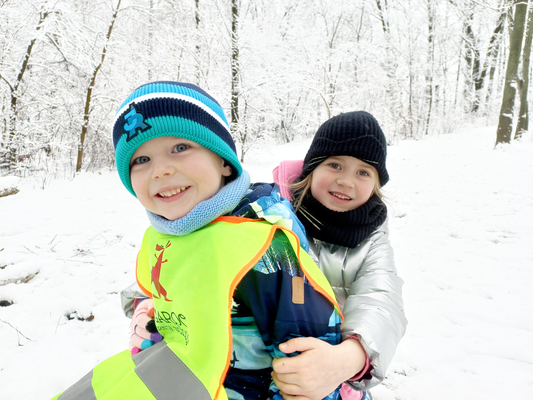 Попередній перегляд статті Історія створення органічного освітнього простору Kangaroo 