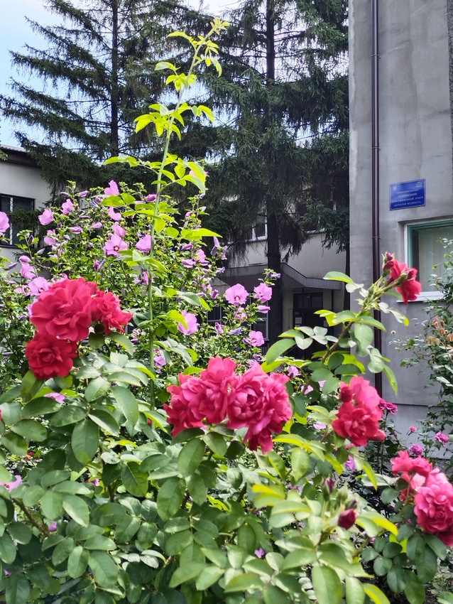 Попередній перегляд закладу Приватний заклад "Харківський християнський ліцей "Початок мудрості"