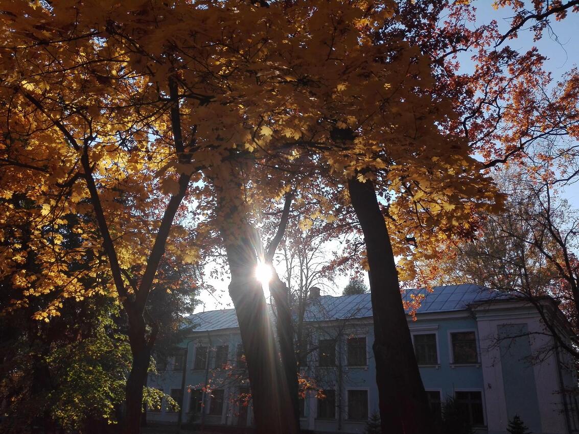 Попередній перегляд закладу Приватна школа Ліцей "Апогей"