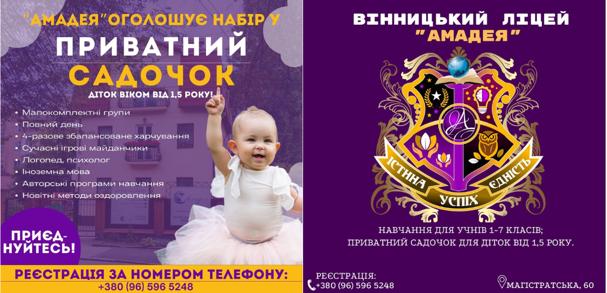 Попередній перегляд закладу Приватний заклад освіти «Вінницький ліцей ”Амадея”»