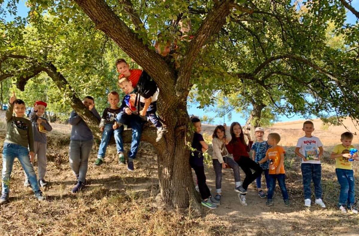 Попередній перегляд закладу Discovery School Перша альтернативна школа в Обухові