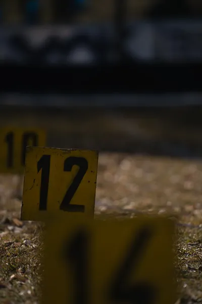 Velká cena v hodu břemenem a zlatá struna Pardubice na Hvězdě 2025 136