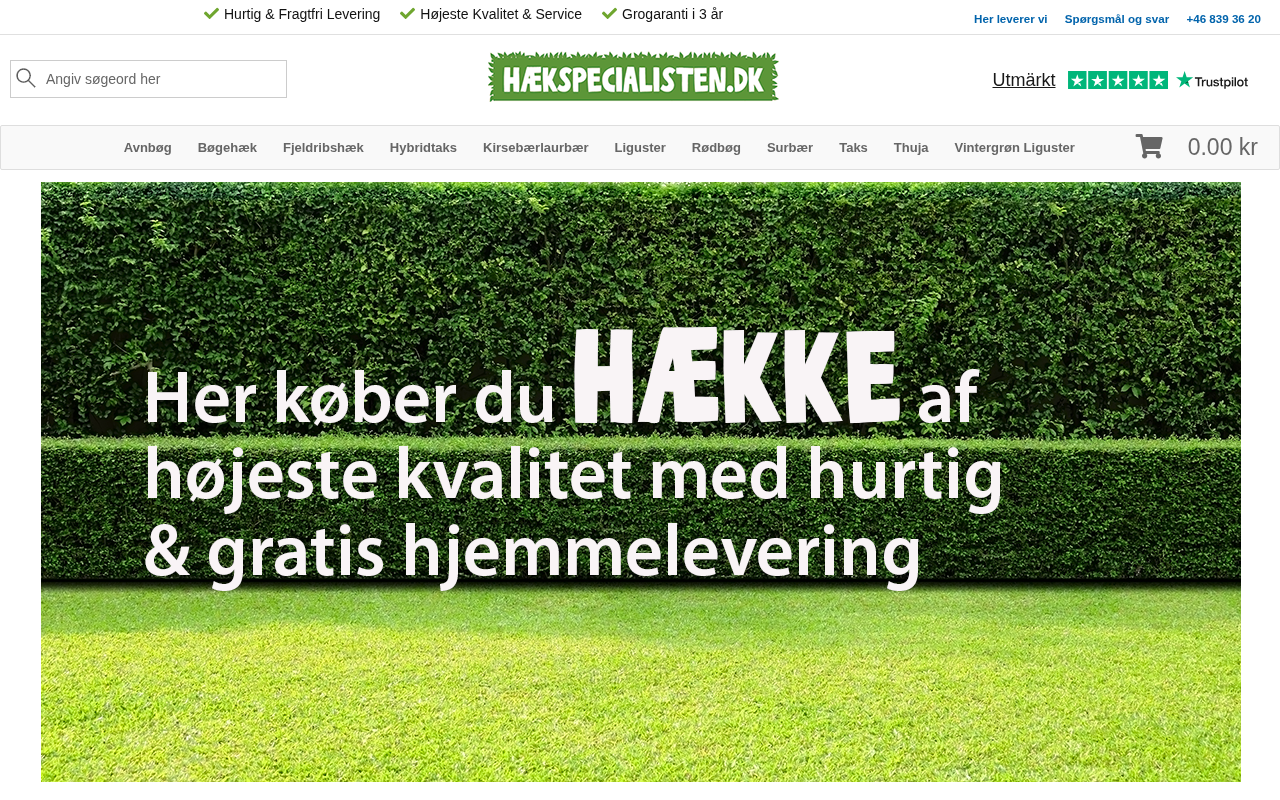 haekspecialisten.dk