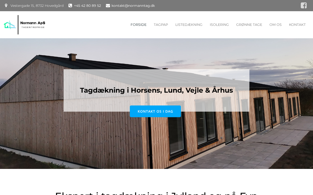 normanntag.dk