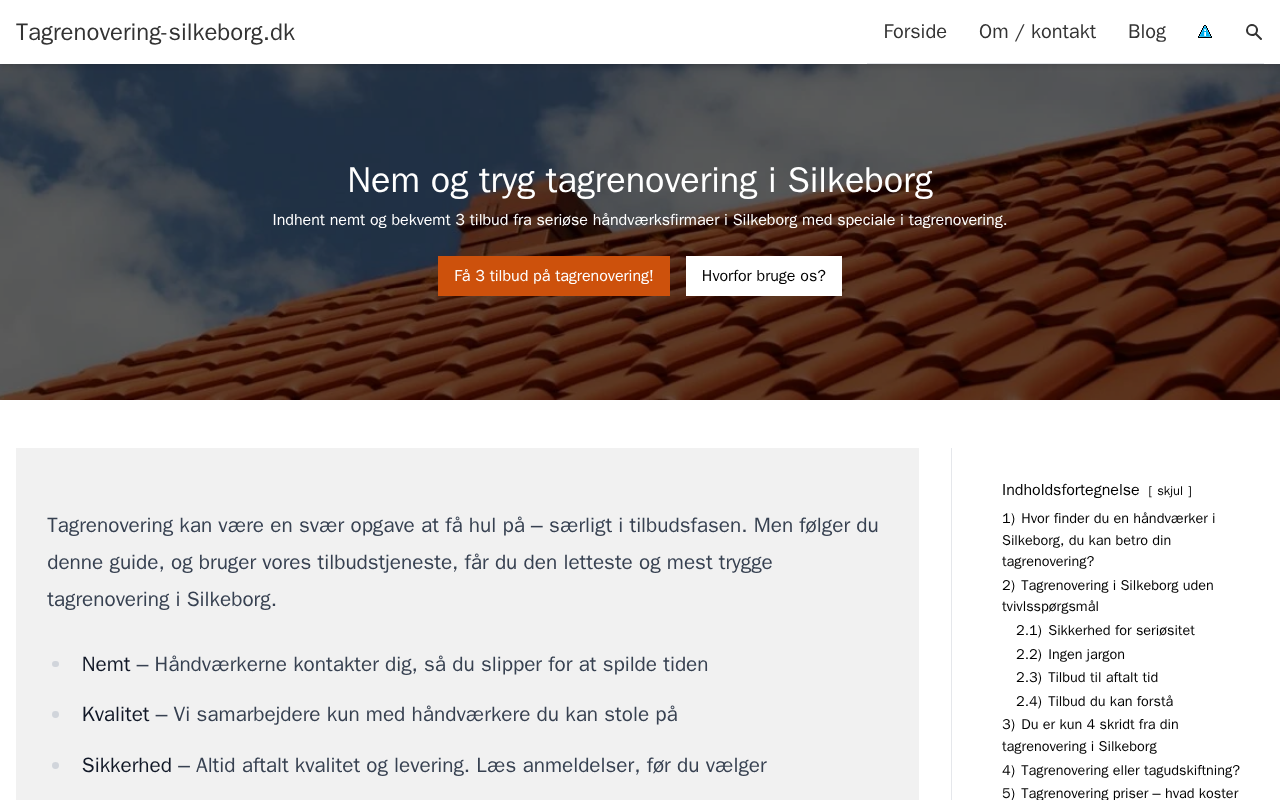 tagrenovering-silkeborg.dk