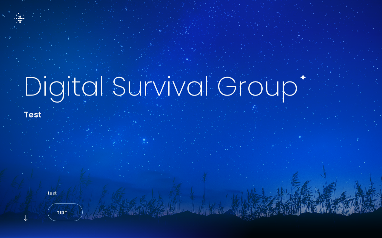 dsg-website.staging.51north.dev