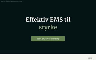 Screenshot af bailine.dk
