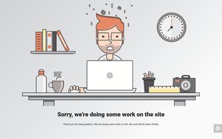 Screenshot af burhoei.dk
