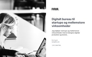 Screenshot af finur.dk