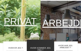 Screenshot af frosch.dk