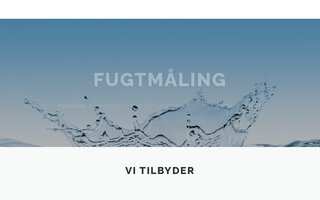 Screenshot af fugtexperten.dk