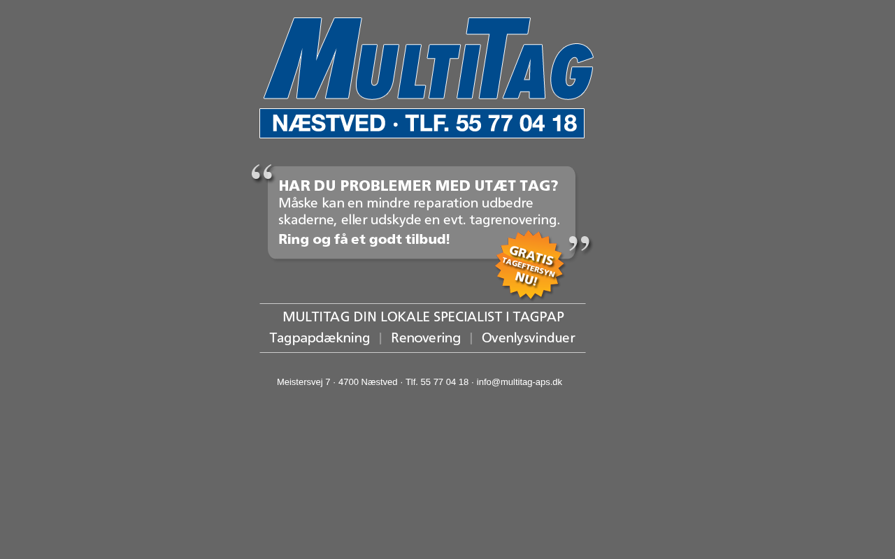 Screenshot af multitag-aps.dk
